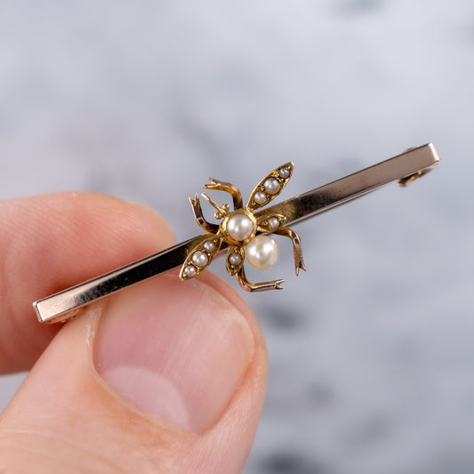 antique pearl insect brooch pin