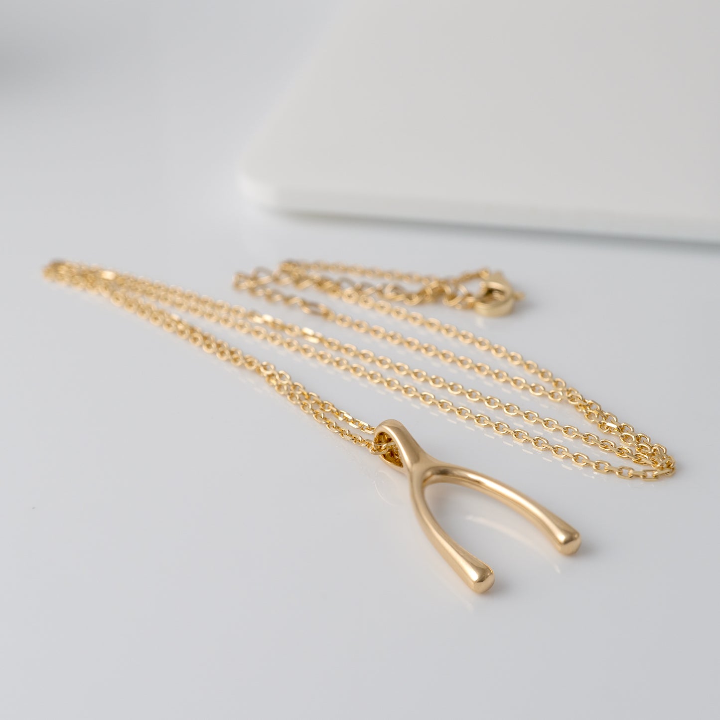 wishbone necklace with chain