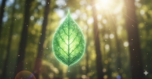translucent leaf floating in a enchanting forest representing the leaf meaning 