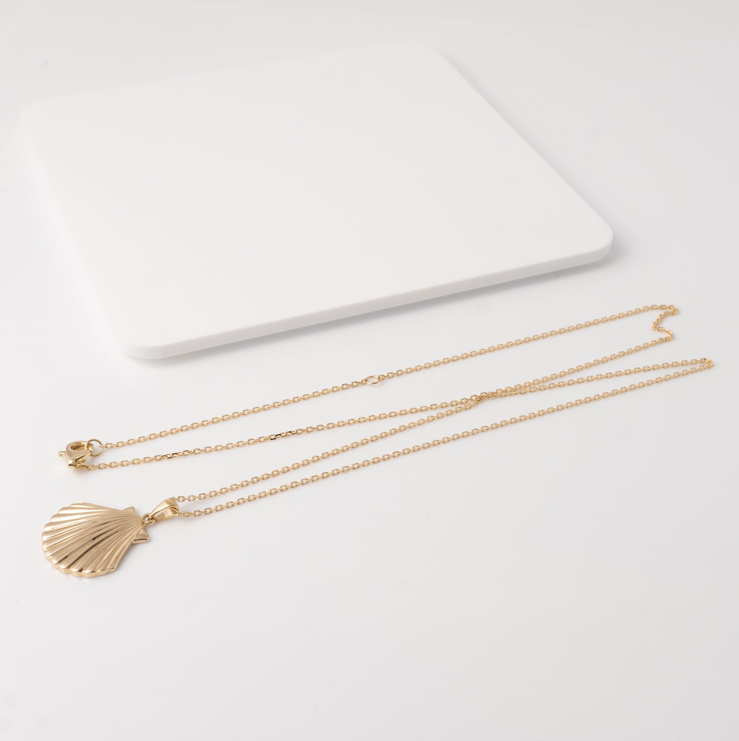 Gold shell necklace laid out showing adjustable chain and lobster clasp