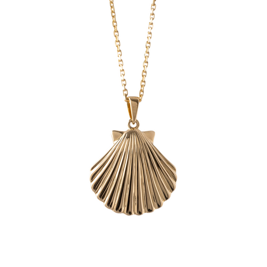 9ct gold shell necklace by Hunters Fine Jewellery 