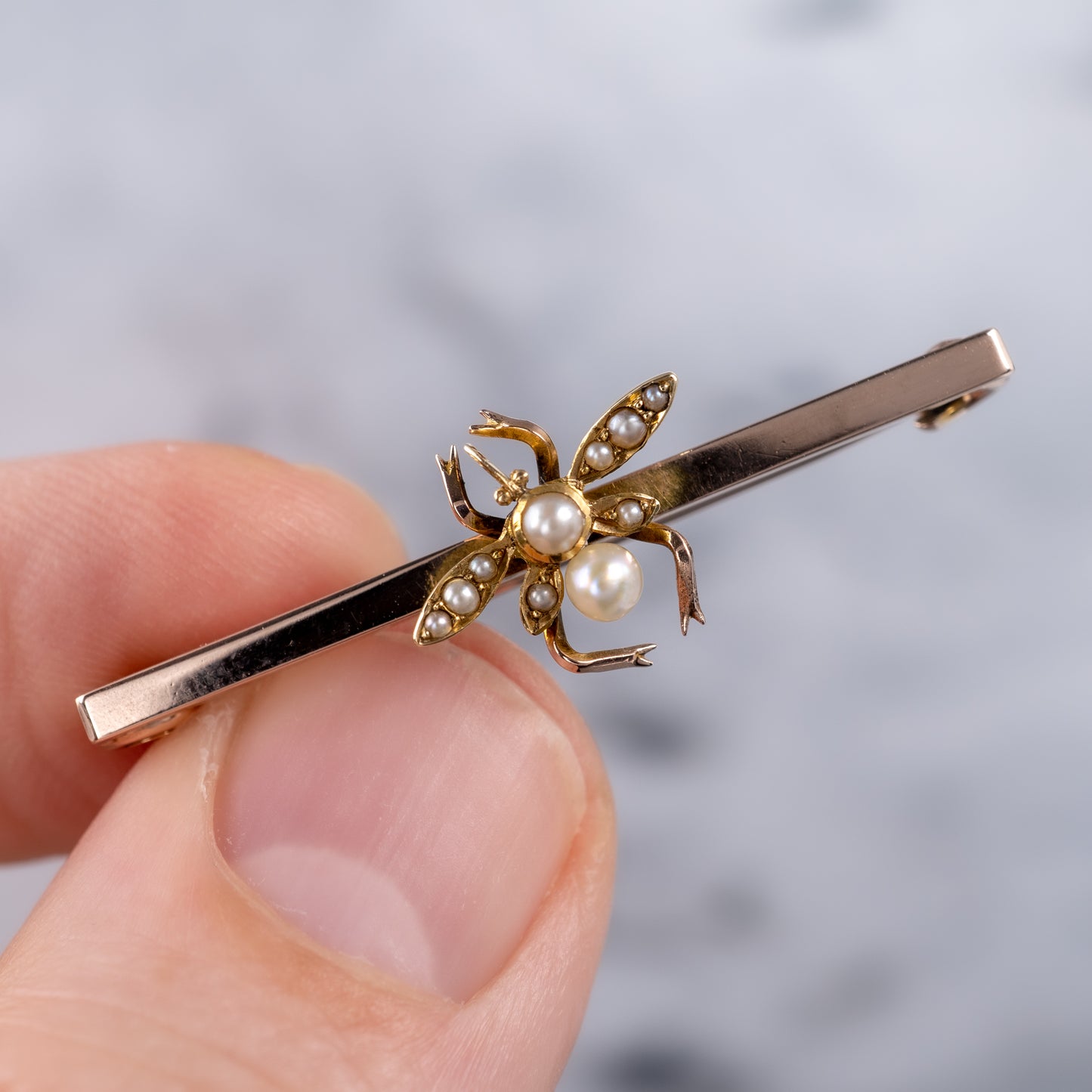 antique pearl insect brooch pin