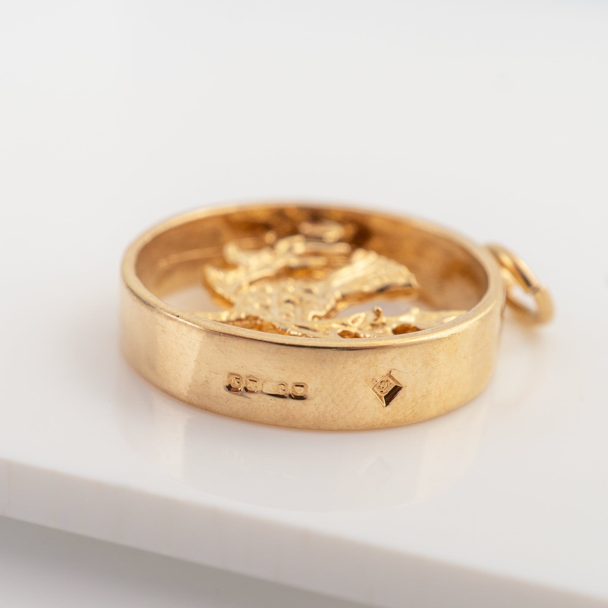 A close-up of a gold circular pendant with a raised, textured crest or lion-like emblem on the front and a small loop at the top, photographed on a clean white surface.