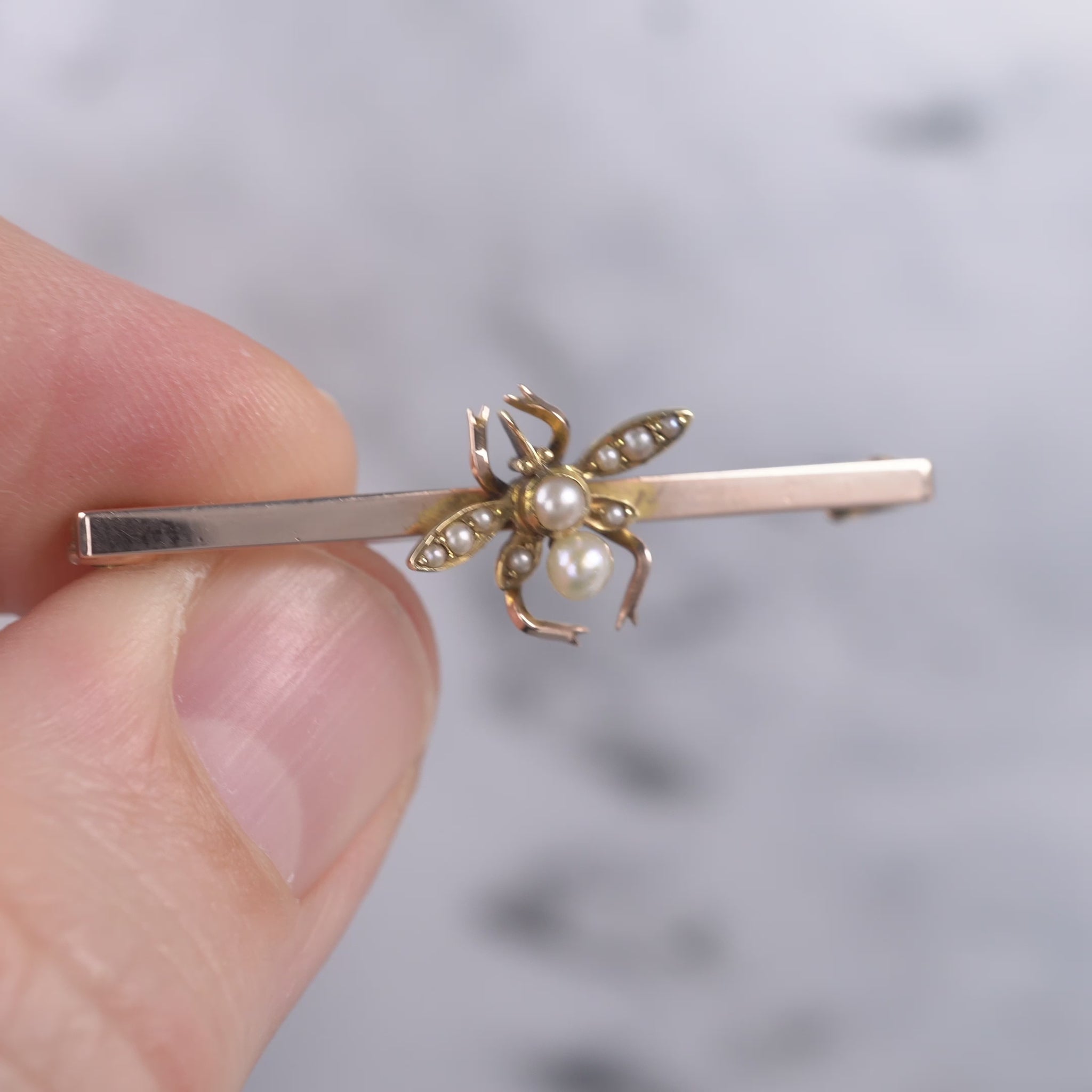 antique edwardian pearl insect brooch