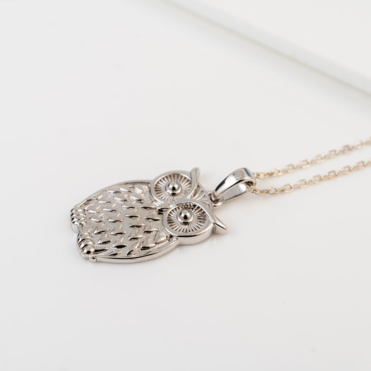 A plain silver owl pendant necklace with a detailed textured body and large circular eyes, hanging from a delicate gold-toned chain on a clean white background.