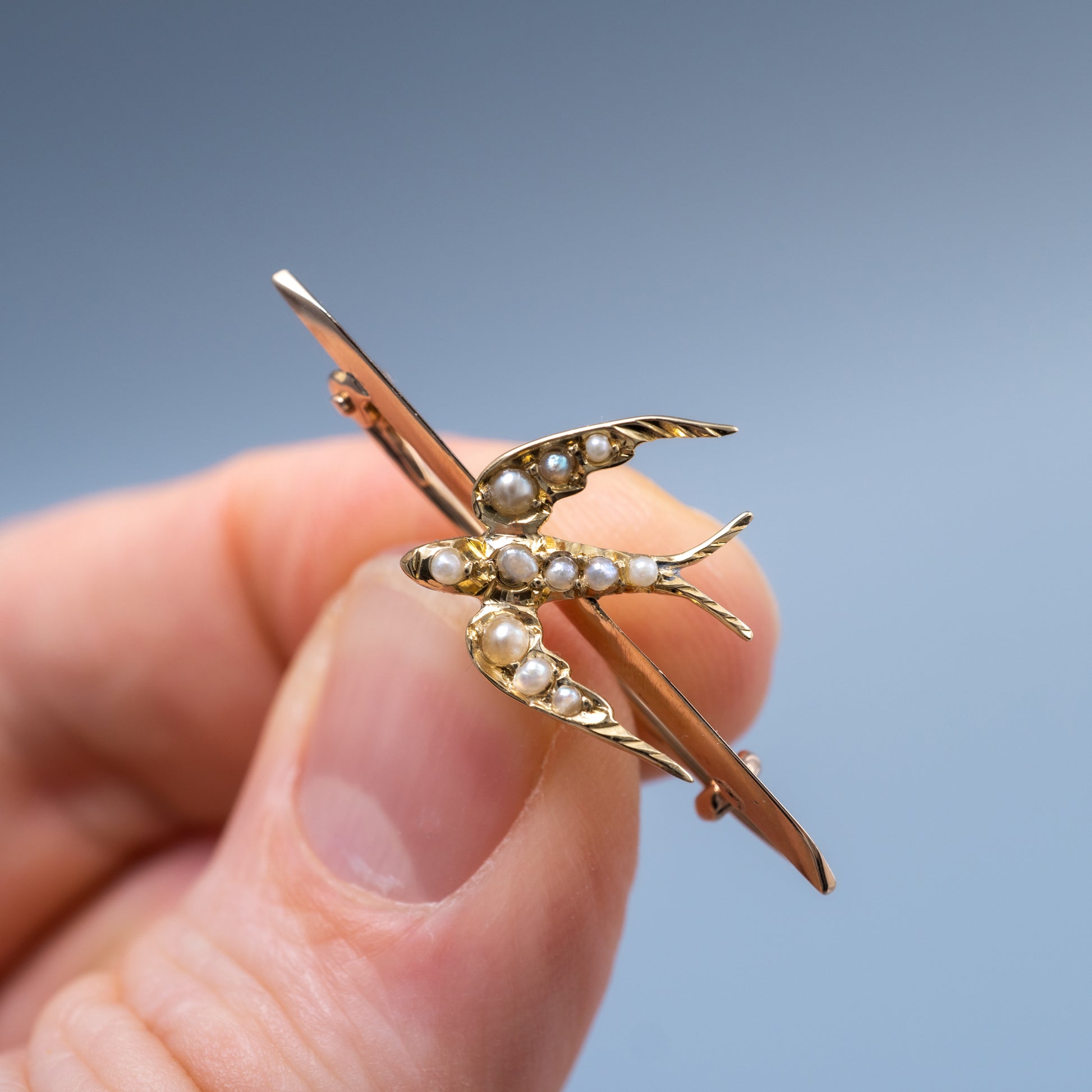antique pearl swallow bird brooch